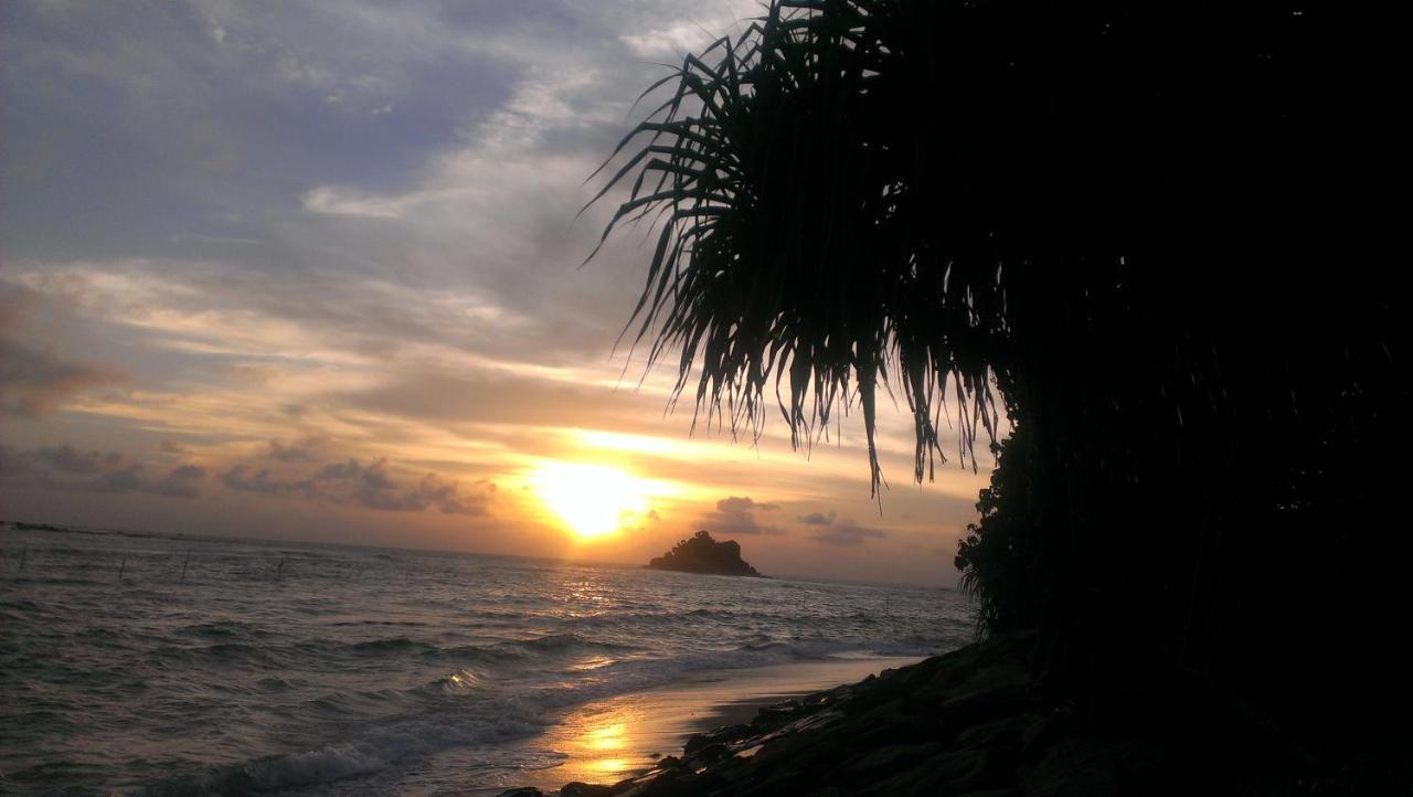 Sundance Surf Coconut Point Ξενοδοχείο Weligama Εξωτερικό φωτογραφία